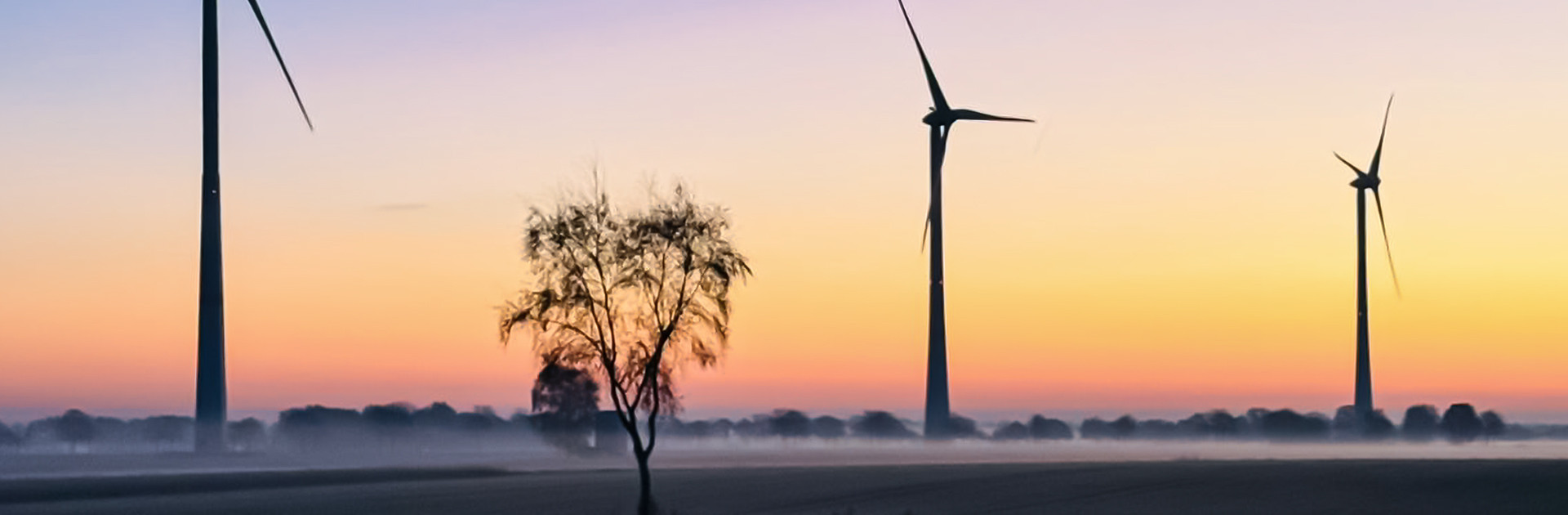 3 Windräder stehen in der Morgendämmerung auf einem Feld.